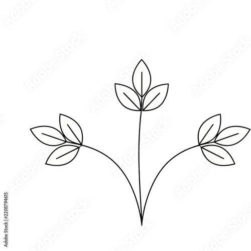 Minimalist plant stem with three leaves