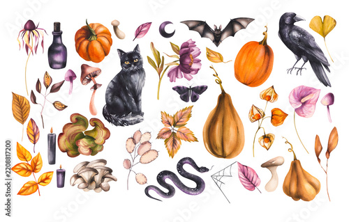 Autumn Halloween set of dried leaves and flowers with pumpkins. Autumn watercolor decor for seasonal design, tableware, textiles, clothing, and printing.