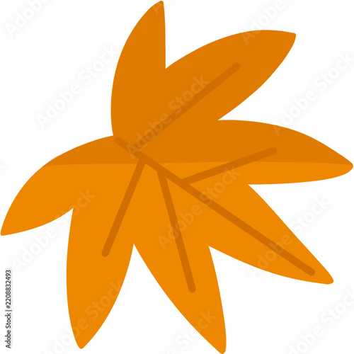 orange flower isolated on white