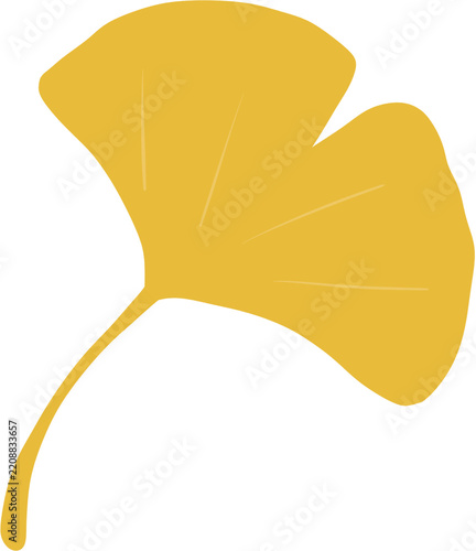 Ginkgo leaves