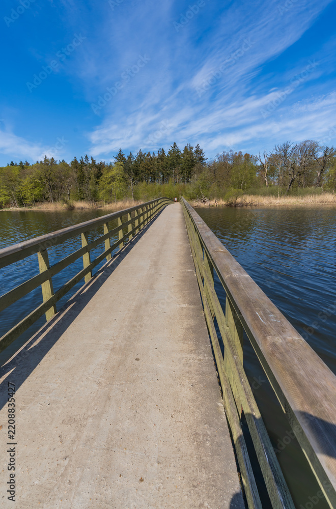Fototapeta premium Wooden footbridge crossing a scenic lake on a sunny day