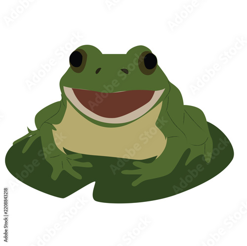 A frog on a lotus leaf.