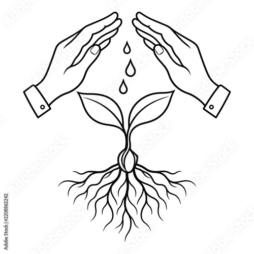 Nurturing Hands and Growing Seedling