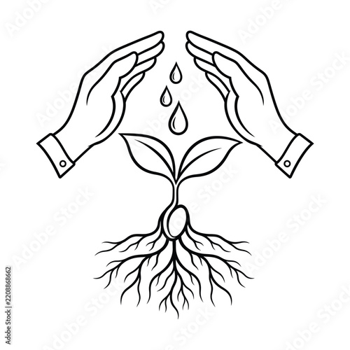 Hands Nurturing Seedling Growth