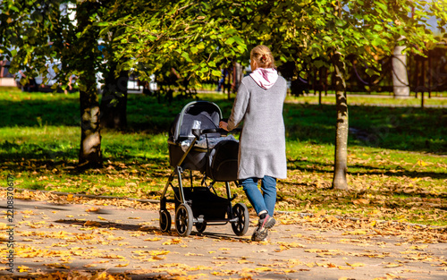 Mother wheeling a pram in the Park
