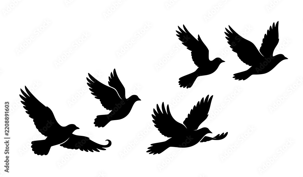 Fototapeta premium Silhouette of a flock of pigeons in flight against a plain white background