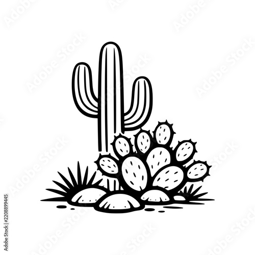Texas desert cactus black and white illustration line art minimalist doodle style