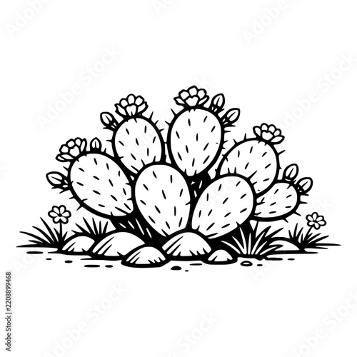 Texas desert cactus black and white illustration line art minimalist doodle style