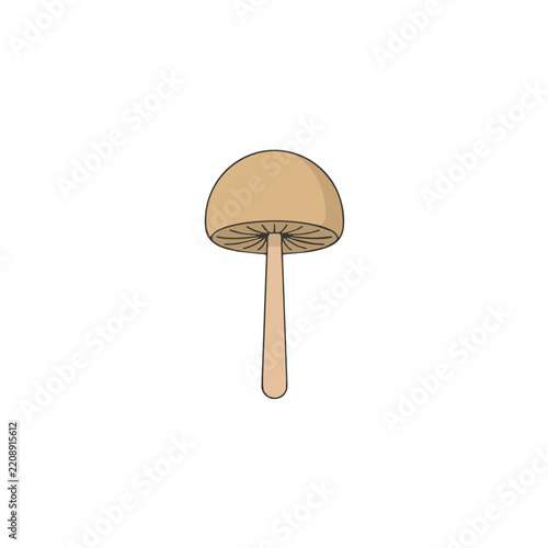 Minimalist Vector Illustration of a Wild Brown Mushroom Isolated on a Plain White Background