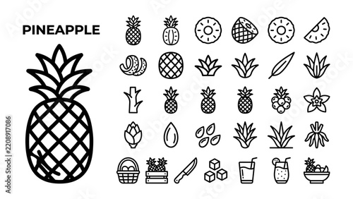 Pineapple Icon Collection: A comprehensive set of line art icons representing various aspects of the pineapple fruit, including whole fruits, slices, leaves, and related items.