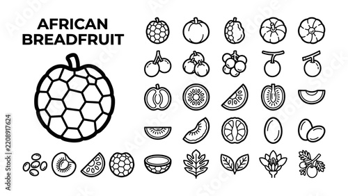 African Breadfruit Icons: A collection of black and white icons showcasing the African breadfruit, its various forms, and related elements.