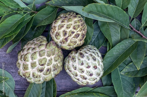 Top View of Ripe Custard Apple or Sweetsop Fruit with Green Leaves Isolated on Wooden Background and Copy Space, Also Known as Sugar Apple