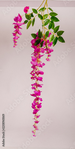 Hanging pink artificial flower vine with green leaves on white background
