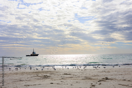White Sandy Beach with Seabirds Along the Shore at Moonta Bay, South Australia, Australia