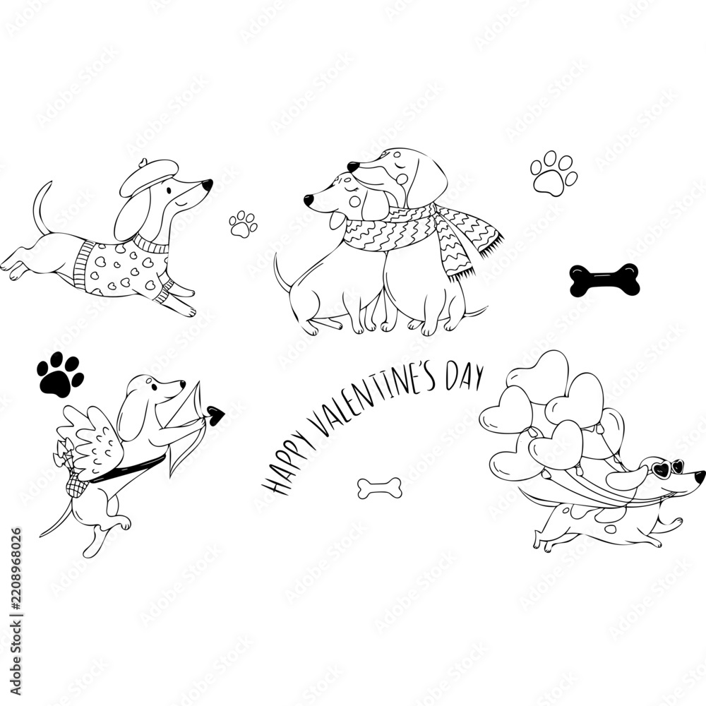 Obraz premium Cute dachshund dogs Valentines day set with cupid dachshund lovers couple and heart balloons line art vector illustration