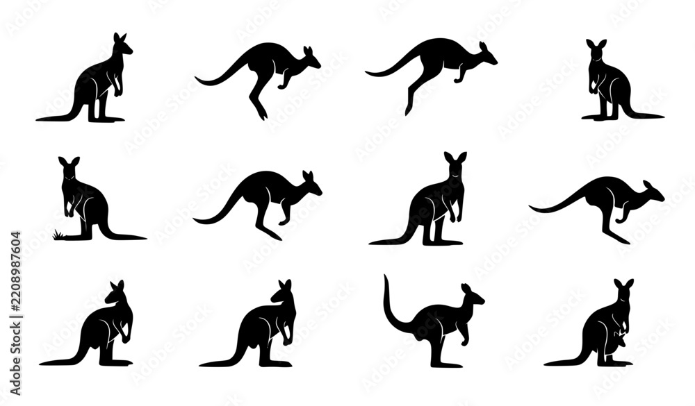 Fototapeta premium Cute Kangaroo Silhouette Collection with Australian Wildlife Poses