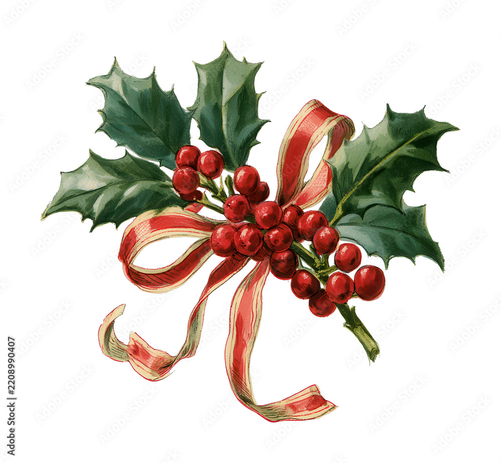 Obraz premium PNG Watercolor holly leaves with red berries and festive ribbon on cream background
