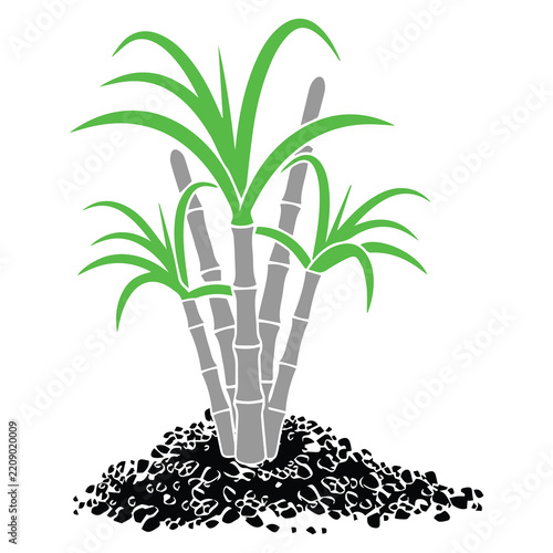 Tropical Palm Tree Beach Island Landscape Graphic