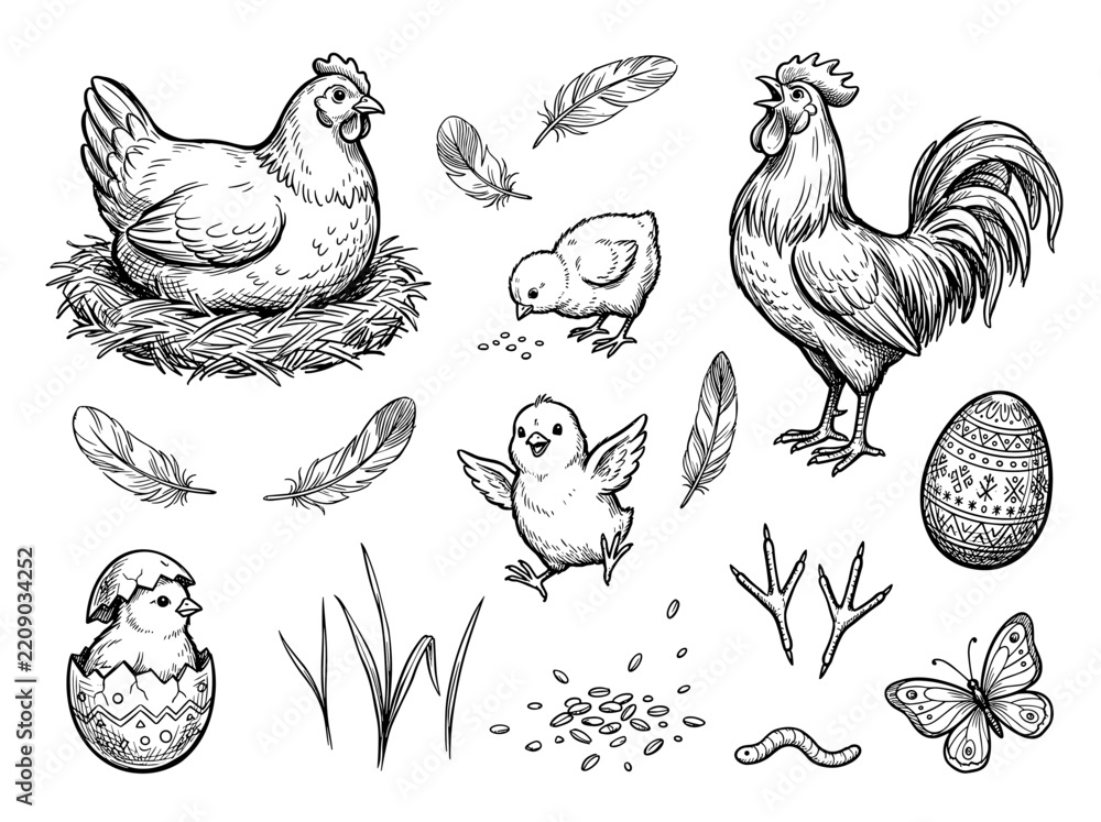 Obraz premium Cartoon doodle of hen, rooster, and baby chick collection on white background for easter
