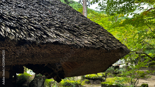 緑の木々を背景にした茅葺き屋根の曲線
