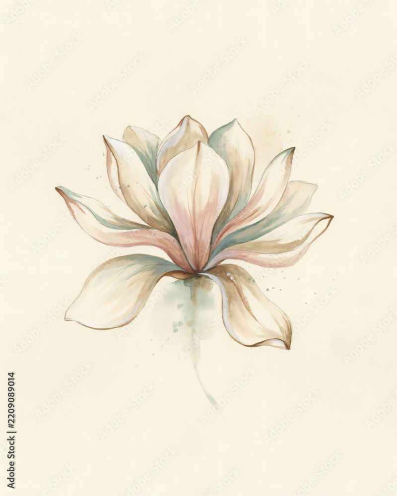 Obraz premium Soft Pastel Watercolor Magnolia Flower Illustration with Elegant Botanical Petals and Gentle Artistic Brush Strokes on a Minimalist Neutral Background