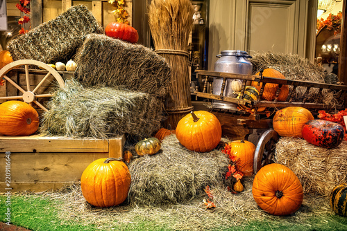 Traditional autumn photo spot, ‘Harvest Festival’, at the country’s leading department store — GUM in Moscow.