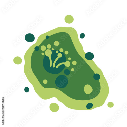 Microscopic mold colony in a damp indoor environment shows green and black fungus growth. Vector illustration.