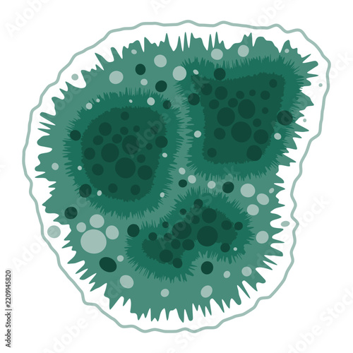 Green mold fungus spot growing on wet house wall. Mildew fungal spores under the microscope. Vector illustration