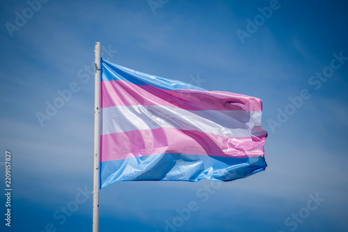 Transgender pride flag with pastel blue, pink and white stripes flies against a clear blue sky in Lisbon, Portugal as a symbol of LGBT equality