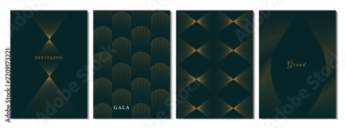 luxury gala invitation card gold lines and pattern on black background vector