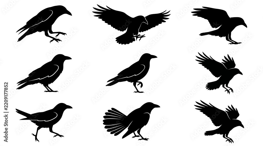 Fototapeta premium Set of Detailed Silhouette Illustrations Depicting Various Crows in Different Standing and Flying Poses for Decorative Graphic Design Projects