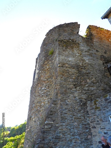 Ruines du château de Ségur le château,(Corrèze)