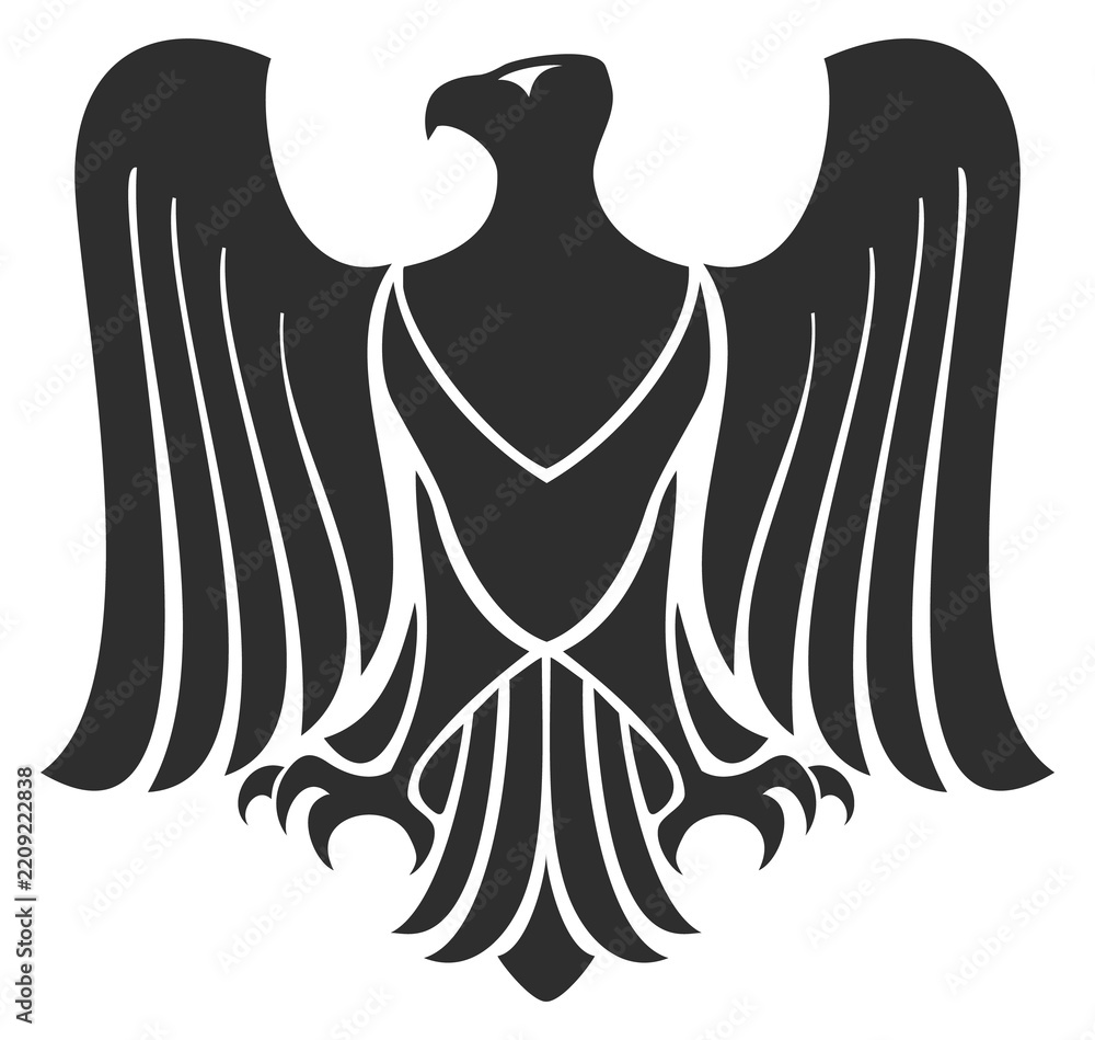 Fototapeta premium A black eagle with its wings spread out
