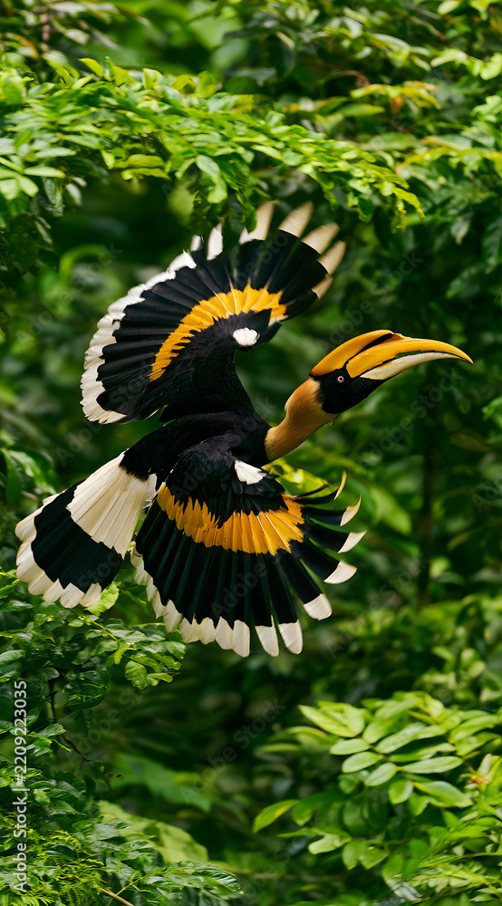 Obraz premium A great hornbill bird effortlessly cuts through lush green jungle foliage, with its vivid wings fully extended. This regal being, featuring a big yellow bill, gracefully cruises among tropical trees, 