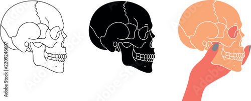 Human Skull Anatomy Vector Icon Set In Outline Silhouette And Hand Holding Head Graphic Illustration For Medical Science