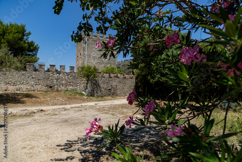 Obraz na plátně Historic stone fortress walls and defensive tower rise behind blooming pink olea