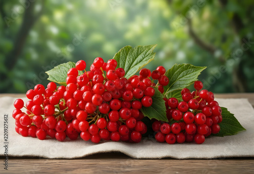 Organic viburnum berries, healthy superfood and autumn harvest concept, fresh red guelder rose fruit with green leaves on a rustic linen cloth background