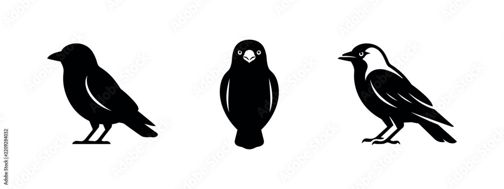 Obraz premium Jackdaw Bird Silhouette Icon Set