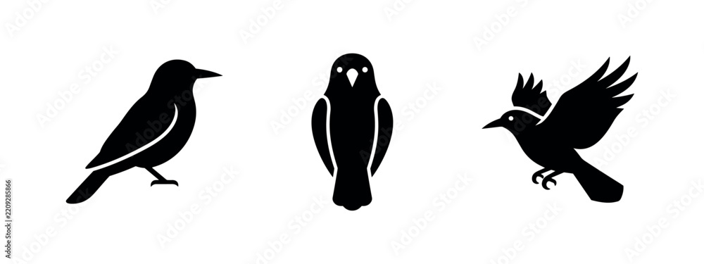 Obraz premium Black Raven and Crow Bird Silhouettes