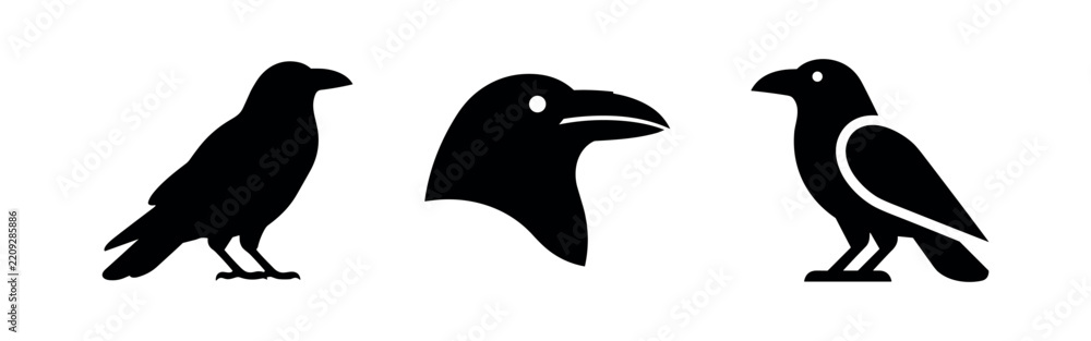 Obraz premium Raven Head and Crow Body Silhouettes