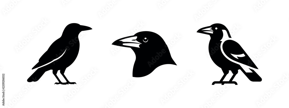 Obraz premium Magpie and crow bird silhouettes, minimalist black and white vector illustration set