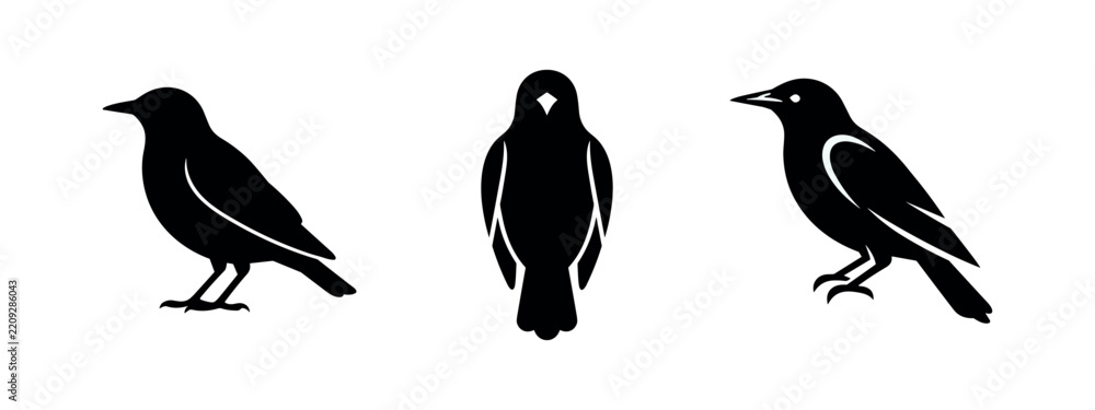 Fototapeta premium Starling and blackbird silhouette set, minimalist vector icons for ornithology themes