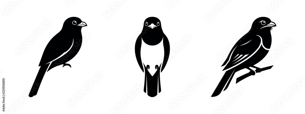 Obraz premium Magpie and Jay Like Bird Silhouettes in Standing and Perching Poses
