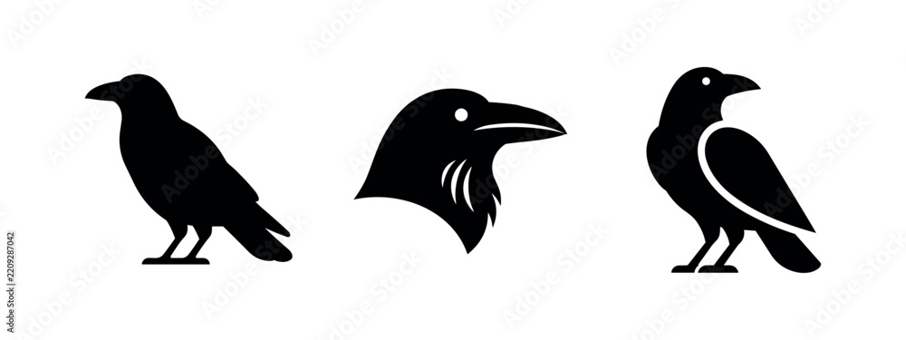 Obraz premium Abstract Crow and Raven Silhouettes for Intelligent Bird Concepts