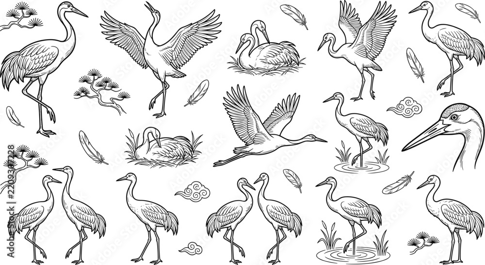Obraz premium Hand Drawn Crane Bird Line Art Collection with Flying, Standing, Nesting, Wading, Feeding, Feathers, and Elegant Wildlife Illustrations