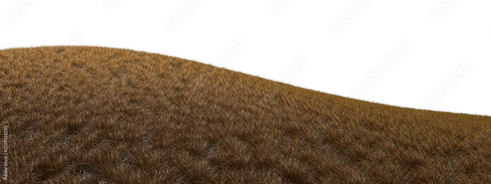 Obraz premium Dry savannah grassland hill cutout on transparent background 3d rendering png