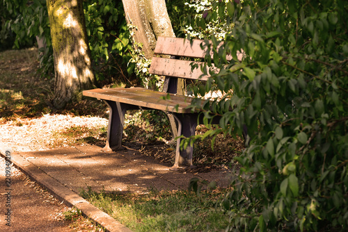 park bench in soft autumnal sun
