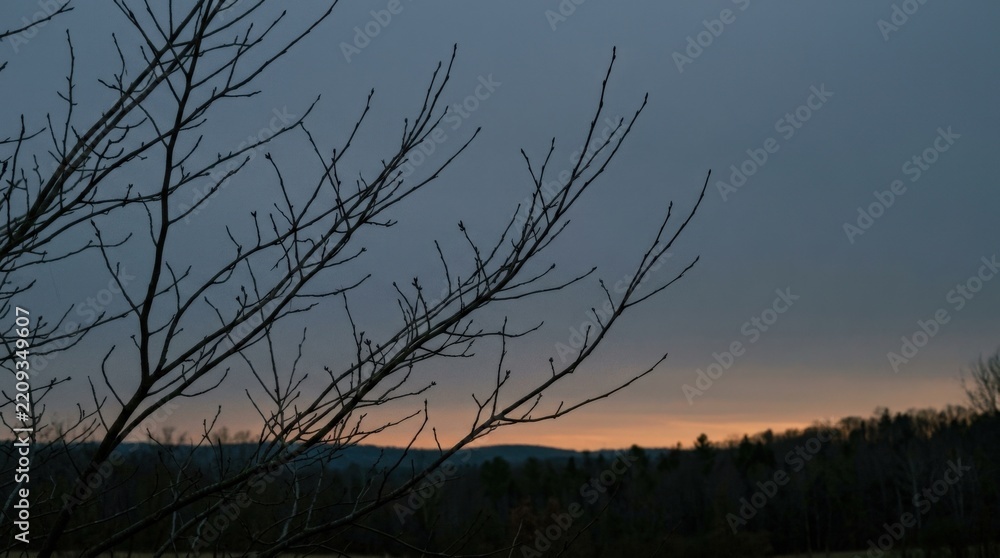 Obraz premium Sparse tree branches silhouetted against a muted twilight sky, atmospheric nature photography, dusky blue-gray palette, subtle warm horizon glow, minimal composition and contemplative seasonal mood.