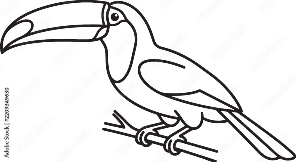 Obraz premium Minimalist line art illustration of a full body toucan perched