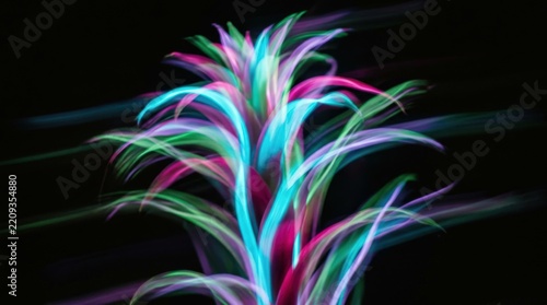 Colorful tropical plant rendered as blurred neon motion against black, experimental photography or digital art, cyan, magenta, green and violet streaks, dreamy long-exposure aesthetic.